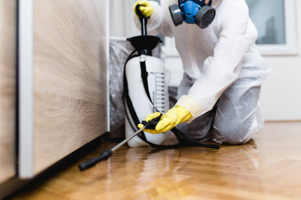 Pest Prevention Services in Mccaysville, GA