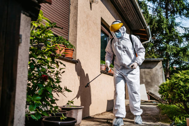 Insect Control in Mccaysville, GA