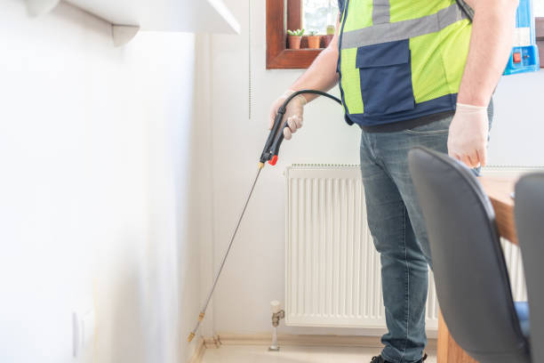 Wasp Removal Services in Mccaysville, GA