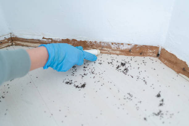 Mccaysville, GA Pest Control Company