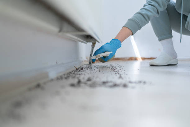 Best Local Pest Control Services  in Mccaysville, GA